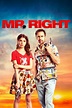 Mr. Right (2016) - Posters — The Movie Database (TMDB)
