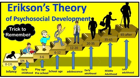 Erik Eriksons Theory On Psychosocial Development Across The Lifespan