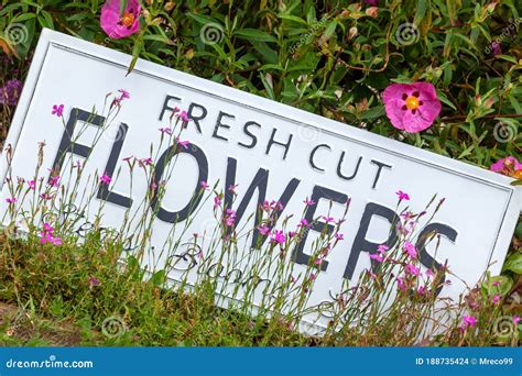 Garden Flowers With Fresh Cut Flower Sign 0718 Stock Photo Image Of