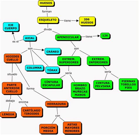 Fisiologíaalimentación Biología Nutrición Mapas Conceptuales