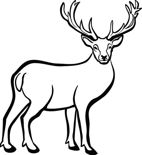 Printable Deer Outline Printable World Holiday