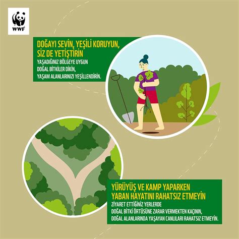 WWF TURKIYE on Twitter Ormanlarımızı hızla kaybediyoruz Denizlerimiz