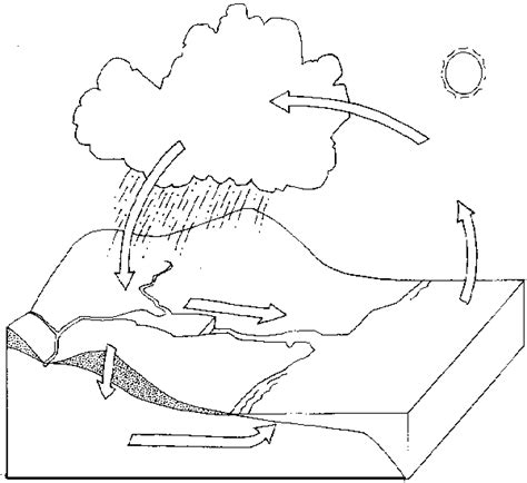 Download Water Cycle Coloring Page - 600×550 Coloring picture animal and car ... | Coloring pages, Free ...