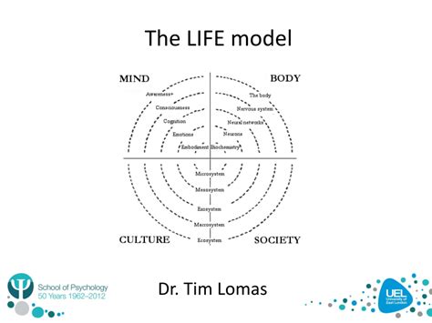 Pdf The Life Model