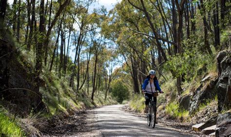 Rail Trails Which Is The Best Rail Trail In Australia