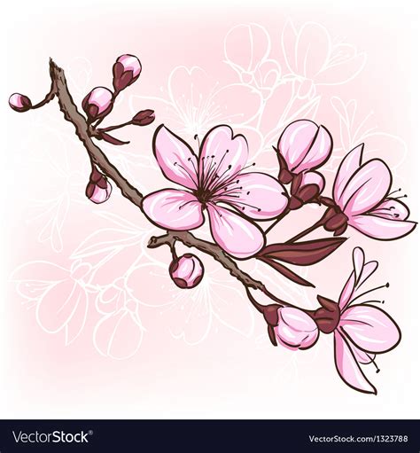 Cherry Blossom Vector
