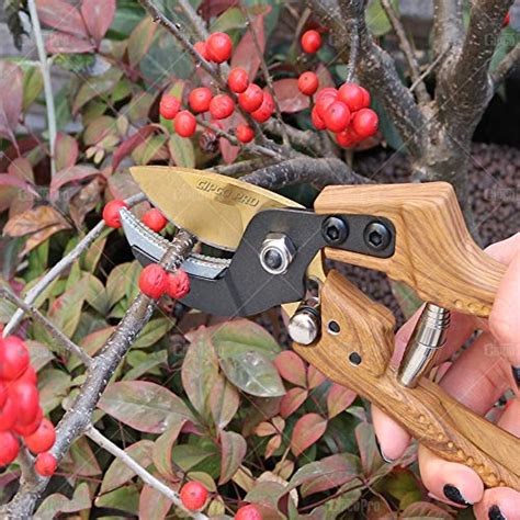 Cipco Pro Tool 8 Professional Sharp Bypass Pruning Shears Sk5