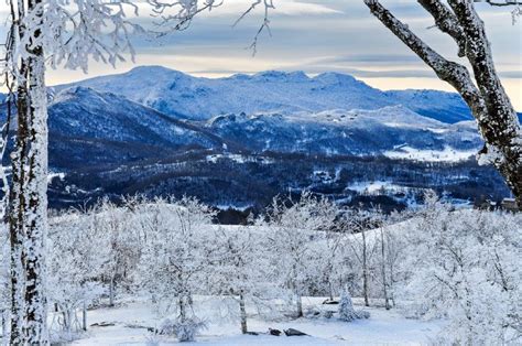 The High Country North Carolinas Winterfest Southeast