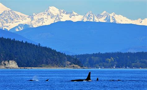 Puget sound starts here, seattle. 16 Top-Rated Day Trips from Seattle | PlanetWare