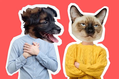 The Truth About Cat People And Dog People Discover Magazine