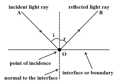 Draw A Labelled Diagram To Illustrate The Phenomenon Of Reflection From