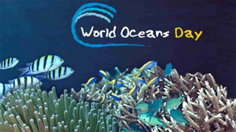 World Ocean Day 2020 10 Awesome Ocean Facts