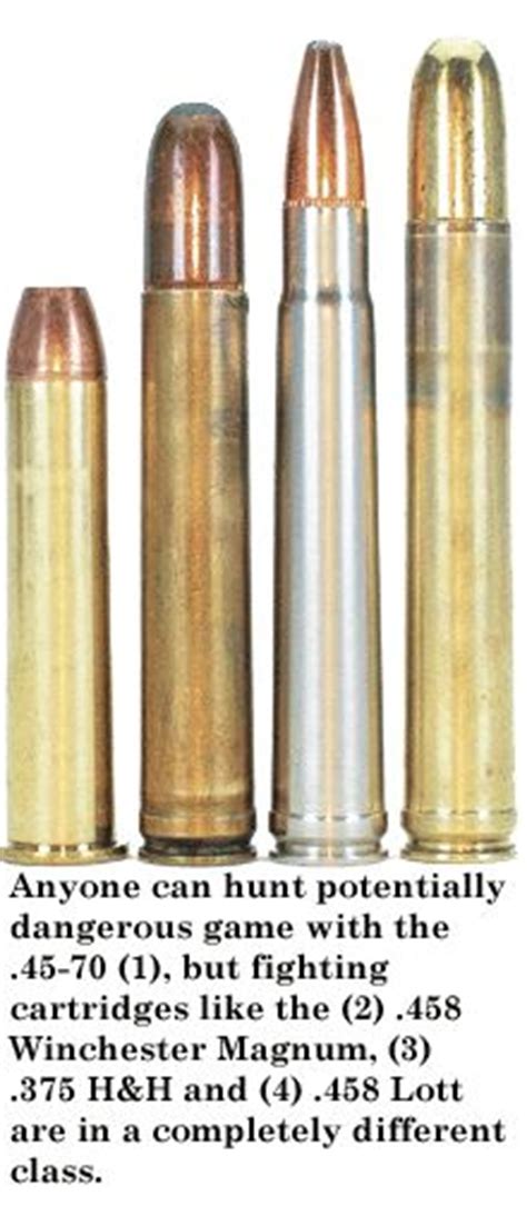 Why did trump install his loyalists at the pentagon before the capitol attack? .45-70 .458 winchester magnum .375 H&H .458 lott | Guns ...