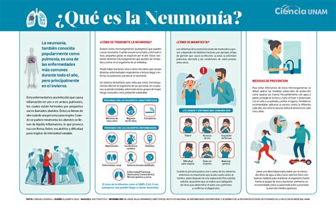 InfografÍa Lo Que Debes Saber De La Neumonía Ciencia Unam