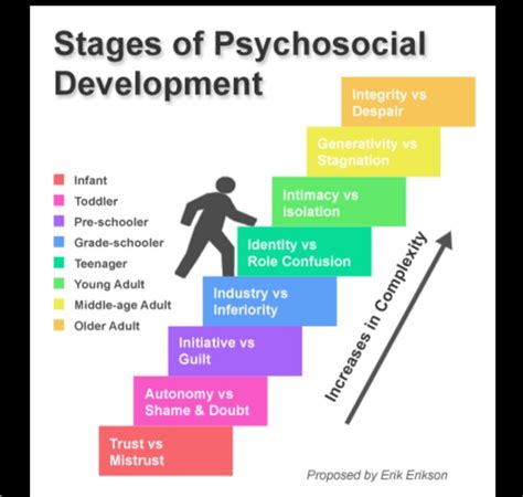 Erik Eriksons Stages Of Psychosocial Development Erik Erikson Was An