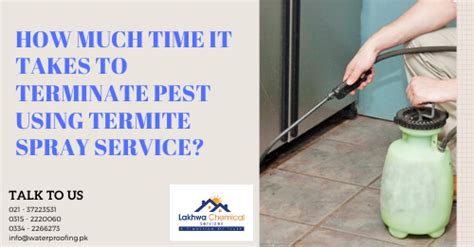 How Much Time It Takes To Terminate Pest Using Termite Spray Service
