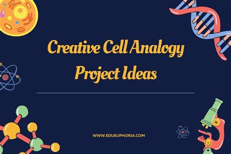 Creative Cell Analogy Project Ideas For Learning Biology