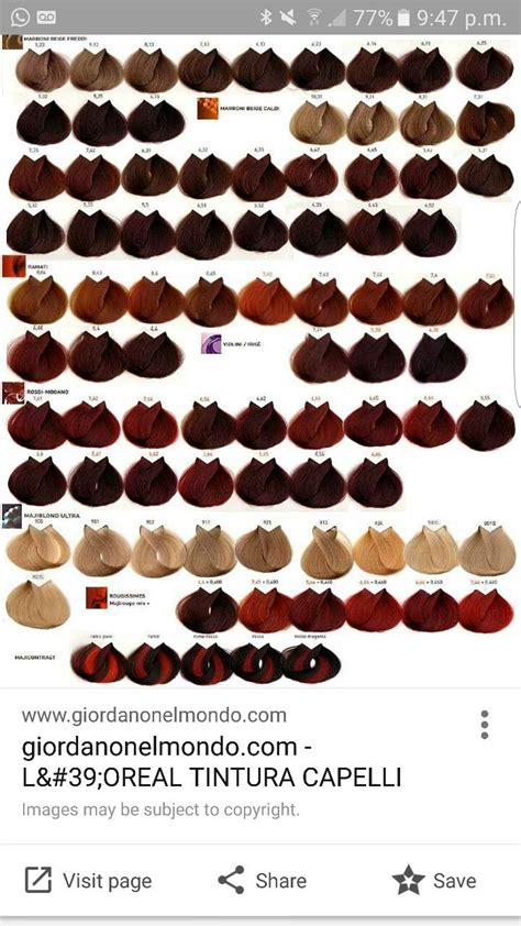 L Oreal Technique Color Chart