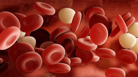 All the activities of the human body, which is composed of trillions of cells, result from the main substance of this membrane is a double layer of lipid molecules, described as a bilayer. Sorting cells through levitation | Science | AAAS