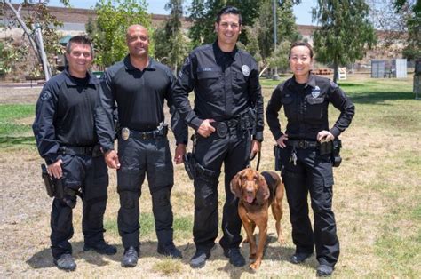 Piper Is A Heroic Bloodhound In Lapds K 9 Unit And She Caught A