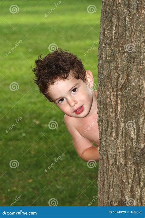Boy Behind Tree Royalty Free Stock Images Image 6074829