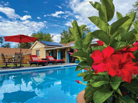 Pool Rentals Denver How To Book A Backyard Pool