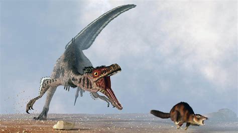 Velociraptor Vs Protoceratops Who Is Going To Excel Sit