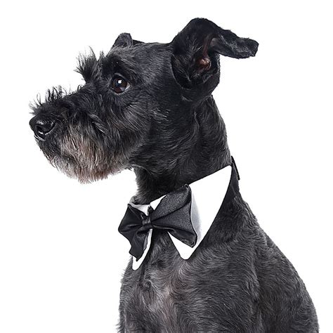 Gentlman Style Black Bow Tie For Pets Dogs Wedding Accessories Grooming
