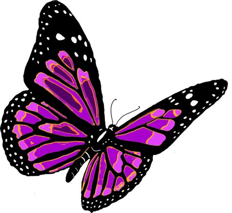 Flying Butterfly Png Image Transparent Image Download Size 1053x967px