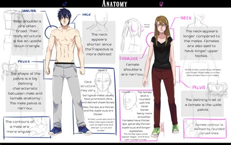 Tutorial Male And Female Anatomy By Deadtwinkies On Deviantart