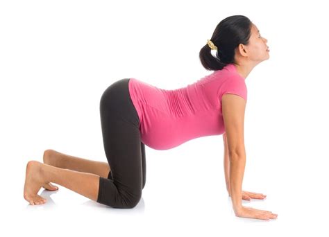 Cat pose often is combined with cow pose (bitilasana) to lengthen and open up your spine. 5 Amazing Prenatal Yoga Poses | Grokker