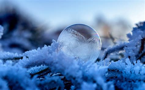 Soap Bubble Nature Bubble Winter Frost Hd Wallpaper Peakpx