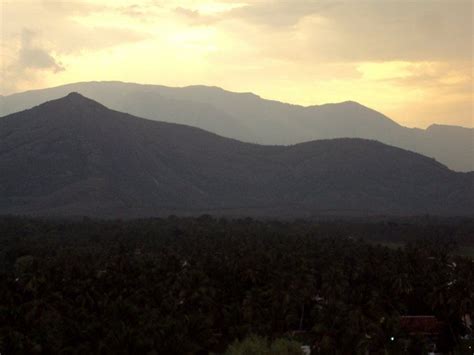 Scientists at the centre for medicinal plants research, arya vaidya sala, kottakkal, have reported the discovery of a rare plant species from the dhoni hills in palakkad district. His paint brush wonders...Sunset at Dhoni Hills, Palakkad ...