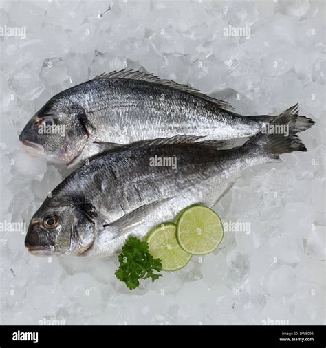 Fresh Fish On Ice In A Supermarket Stock Photo 67173374 Alamy