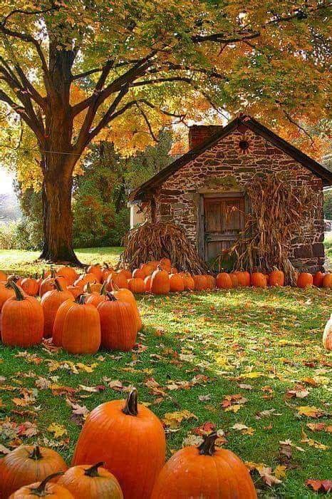 Pin By Janell On Pumpkins Fall Wallpaper Autumn Scenes Autumn Scenery