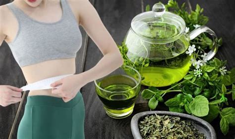 Weight Loss Burn Belly Fat And Hundreds Of Calories By Drinking Green
