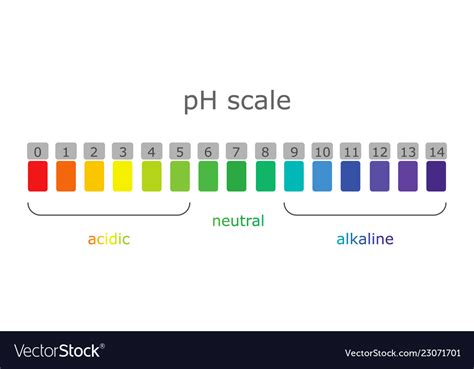 Ph Scale With Colored Labels Environments And Vector Image