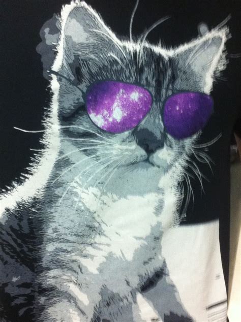 Thats One Cool Cat Cool Cats Cats Funny