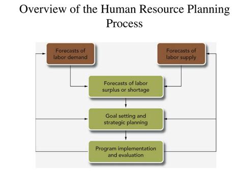 Ppt The Process Of Human Resource Planning Powerpoint Presentation