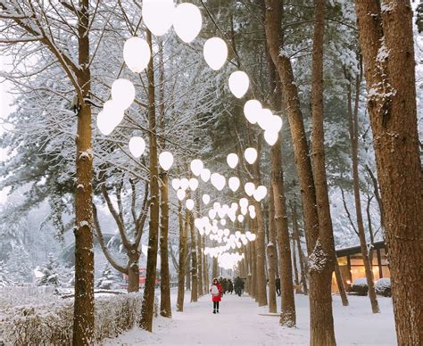 Kalau timers pernah nonton sinetron korea yang judulnya winter sonata, nah disini lah lokasi syutingnya, di nami island. Winter Nami Island & Vivaldi Ski Resort Shuttle Bus ...