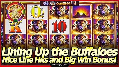 Buffalo Gold Revolution Slot Machine Lining Up Buffaloes In Nice Line