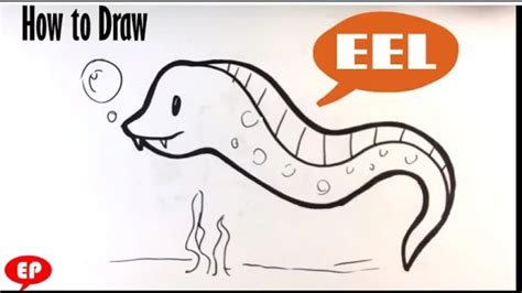 How To Draw An Eel Cute Easy Pictures To Draw Yout Flickr