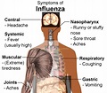 File:Symptoms of influenza.svg - Wikipedia