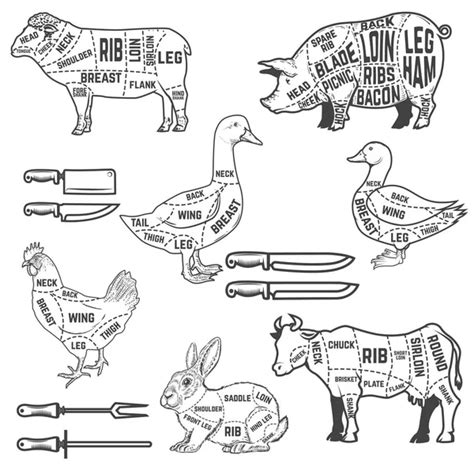 Diagrama Guía Para Cortar Carne De Cordero Ganso Cerdo Vaca Rabino 2023