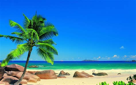 Tropical Beach Landscape Wallpapers Top Free Tropical Beach Landscape Backgrounds