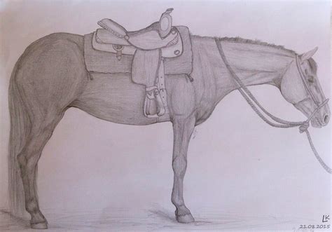 Quarter Horse Mare Drawing By Liloli1997ger On Deviantart