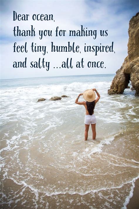Sweat, tears or the sea. Short & Funny Beach Quotes on Love & Life | Beach quotes, Ocean quotes, Beach memes