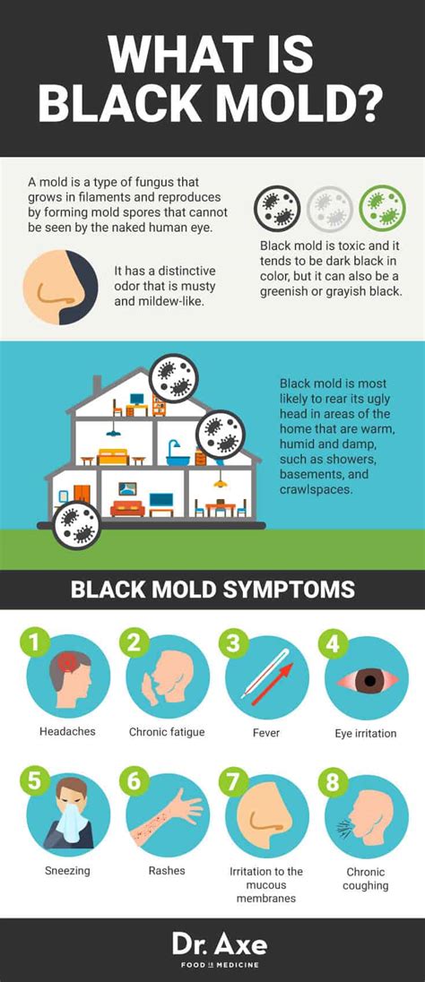 Black Mold Symptoms 12 Natural Remedies