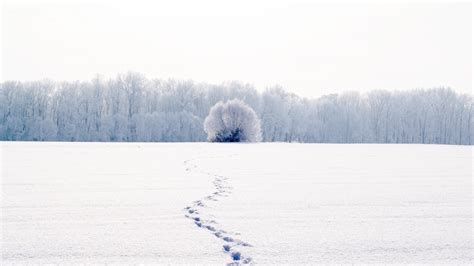 1920x1080 1920x1080 White Traces Landscape Nature Cold Snow