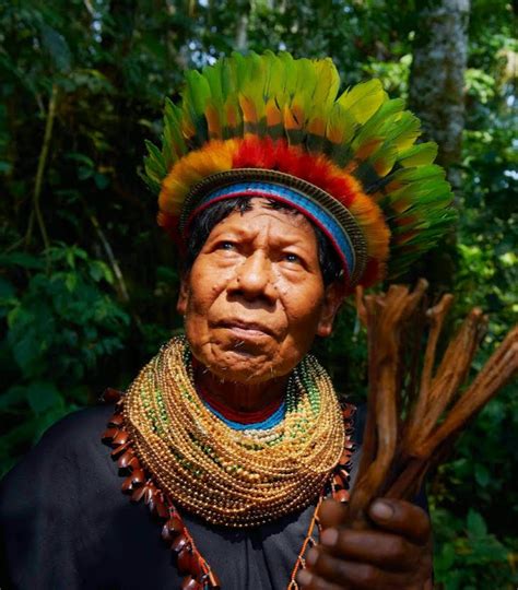 Guardians Of The Amazon Rainforest Kboo